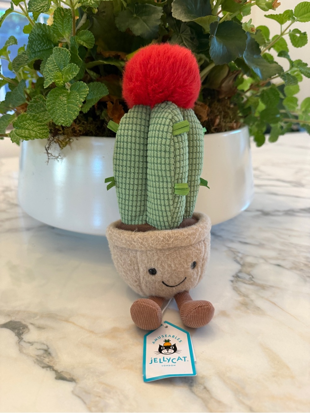 Jellycat Green Corduroy Cactus Plush in Cream Pot with Brown Legs